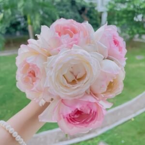 Optimiste Rose