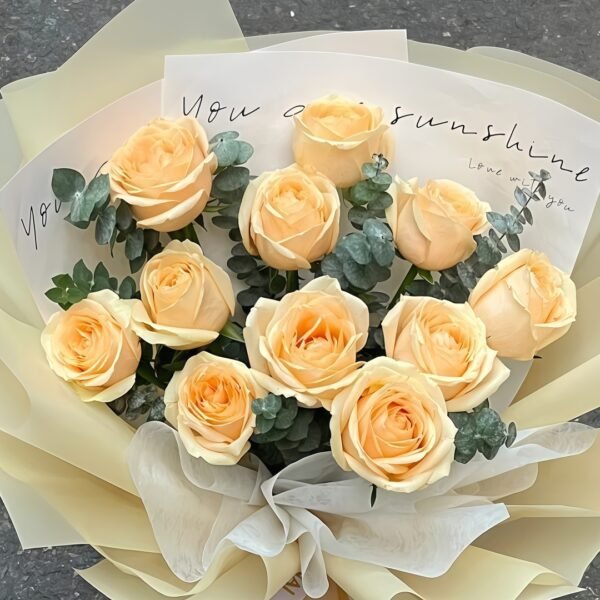 Peach Avalanche Rose