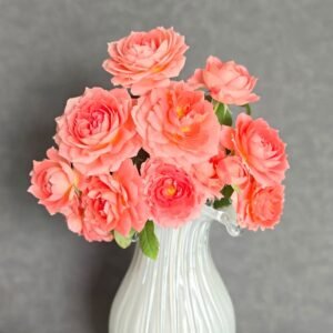 Princess Sakura Rose