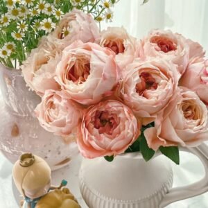 Princess Sakura Rose