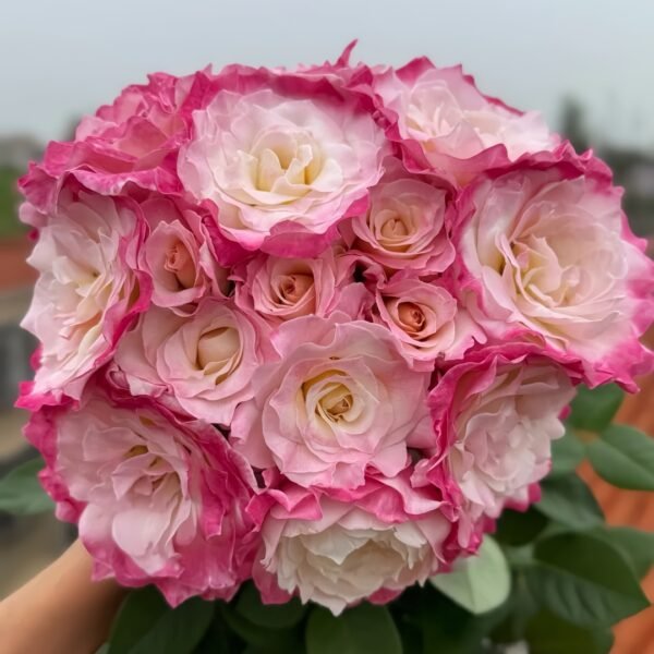 Seraphim Rose01 Seraphim Rose