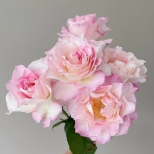 Seraphim Rose