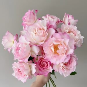 Seraphim Rose