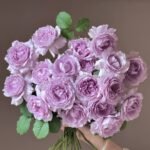 Yinyinqing Rose