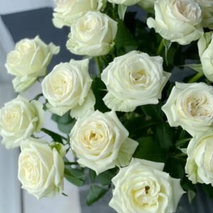 Blanche Elegance Rose