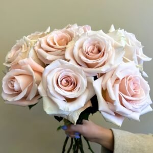 Cleo Rose Plant｜克莱奥 - 图片 9