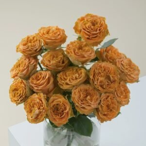 Copper Kiss Rose