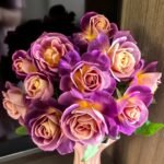 Diablesse de Mers Rose