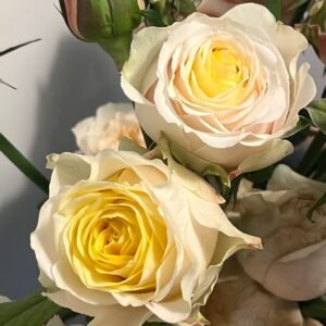 Teresa Rose Gulya Rose