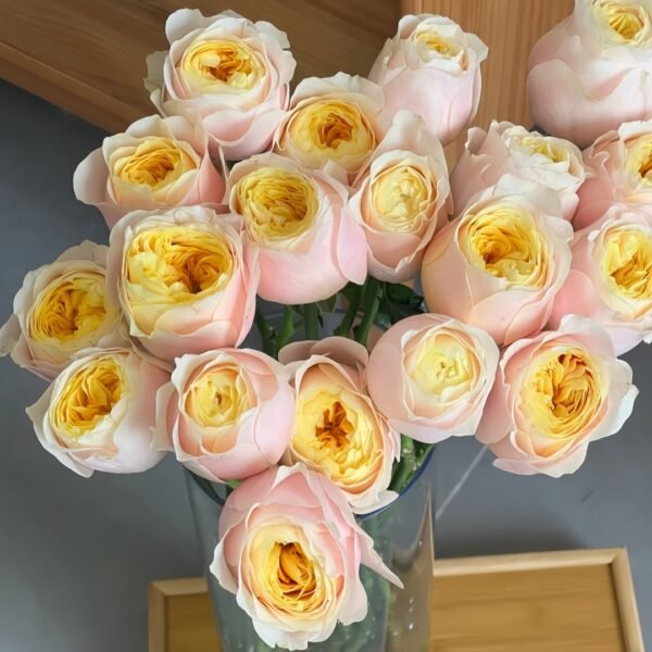 Teresa Rose Gulya Rose