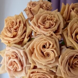Toffee Rose