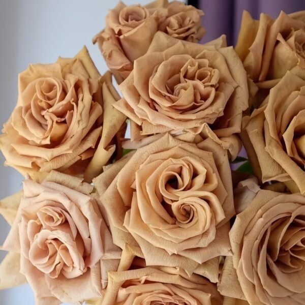 Toffee Rose