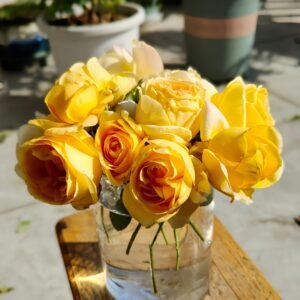 Global Beauty Rose Plant|黄烛光 - 图片 10