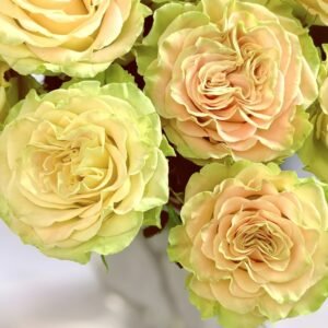 Shangguan Wan'er Rose