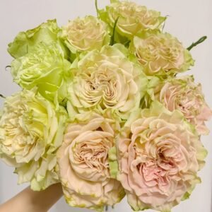 Shangguan Wan'er Rose