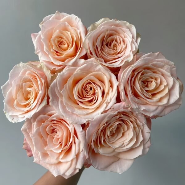 Warm Egg Soufflé Rose