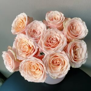 Warm Egg Soufflé Rose