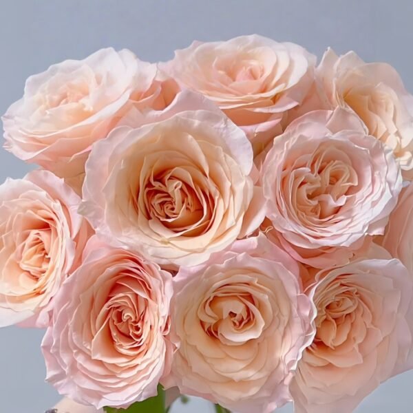 Warm Egg Soufflé Rose