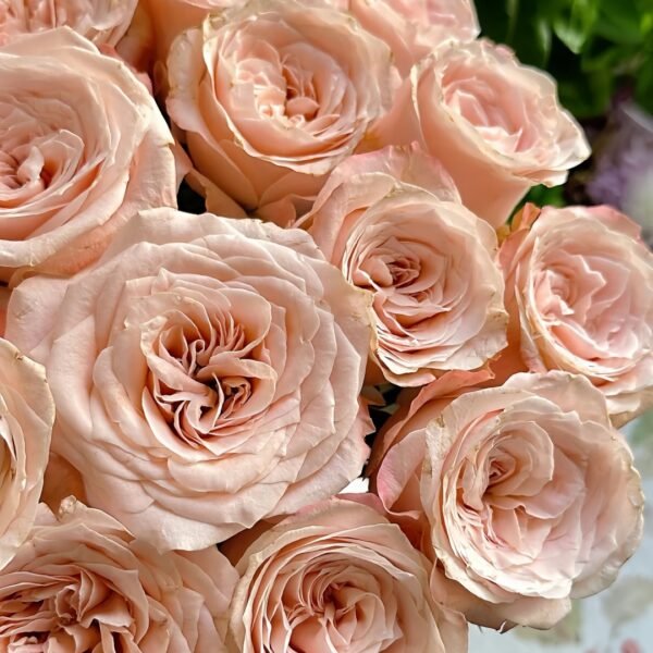 Warm Egg Soufflé Rose