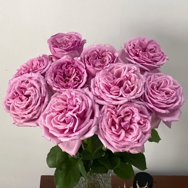Aromatique Rose
