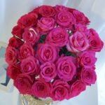 Cherry Avalanche Rose