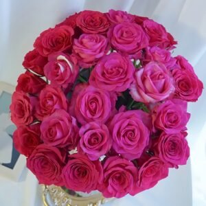 Cherry Avalanche Rose