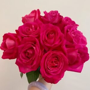 Cherry Avalanche Rose