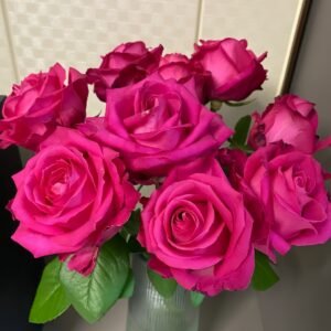 Cherry Avalanche Rose