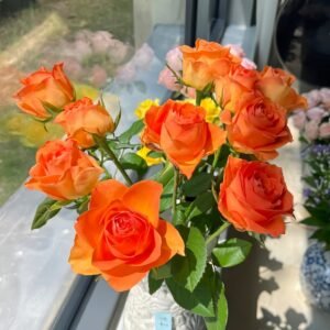 Kings Day Rose