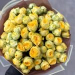 Sunny Trendsetter Rose