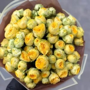 Sunny Trendsetter Rose