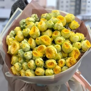 Sunny Trendsetter Rose