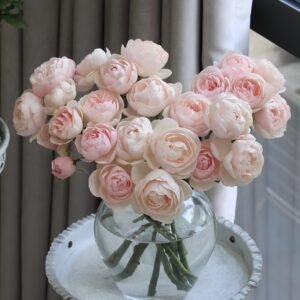 Vichy Rose