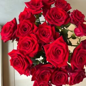 Vulcan Rose Plant｜火神 - 图片 9