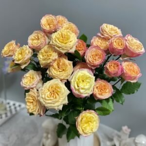 Yoga Trendsetter Rose