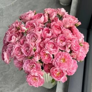 Fragrance King Terrazza Rose