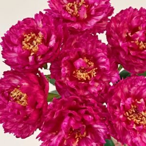 Ligare Rose Plant｜真彩230 - 图片 10