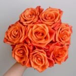 Orange Party Rose