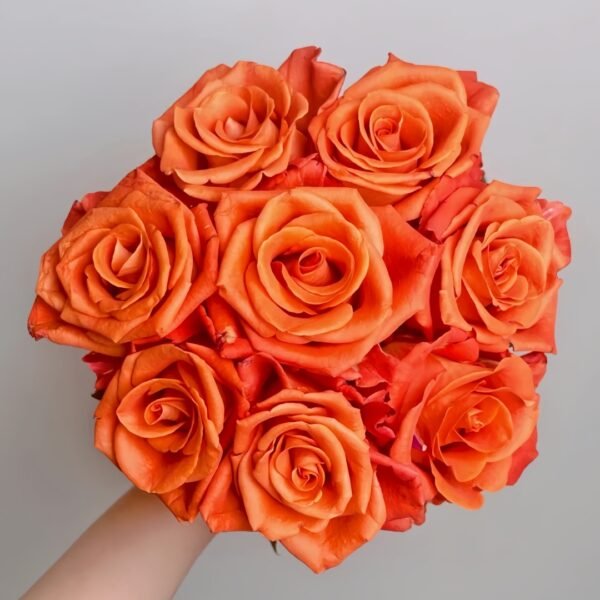Orange Party Rose