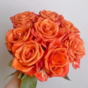 Orange Party Rose