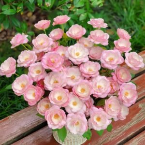 Strawberry Macaron Rose