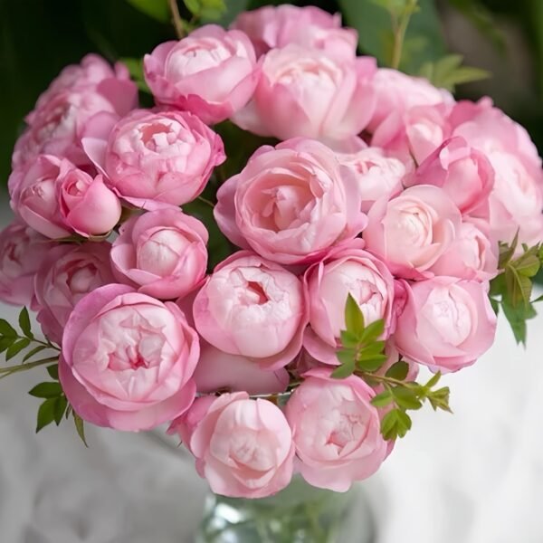 Strawberry Macaron Rose