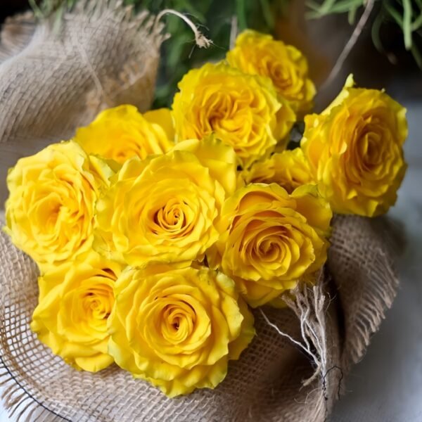 Yellow Breeze Rose