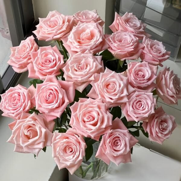 Almond Milk Candy Rose