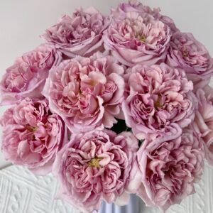 Chocolate Romantica Rose