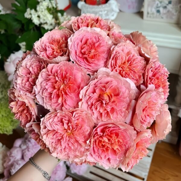 Moulin de la galette Rose