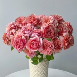 Moulin de la galette Rose