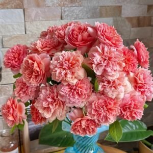 Moulin de la galette Rose