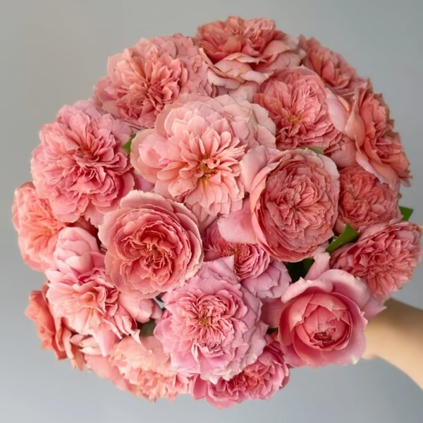 Moulin de la galette Rose