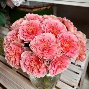 Moulin de la galette Rose Plant｜煎饼磨坊 - 图片 3